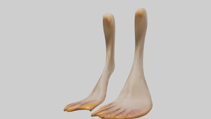 3D model Duck Feet VR / AR / low-poly