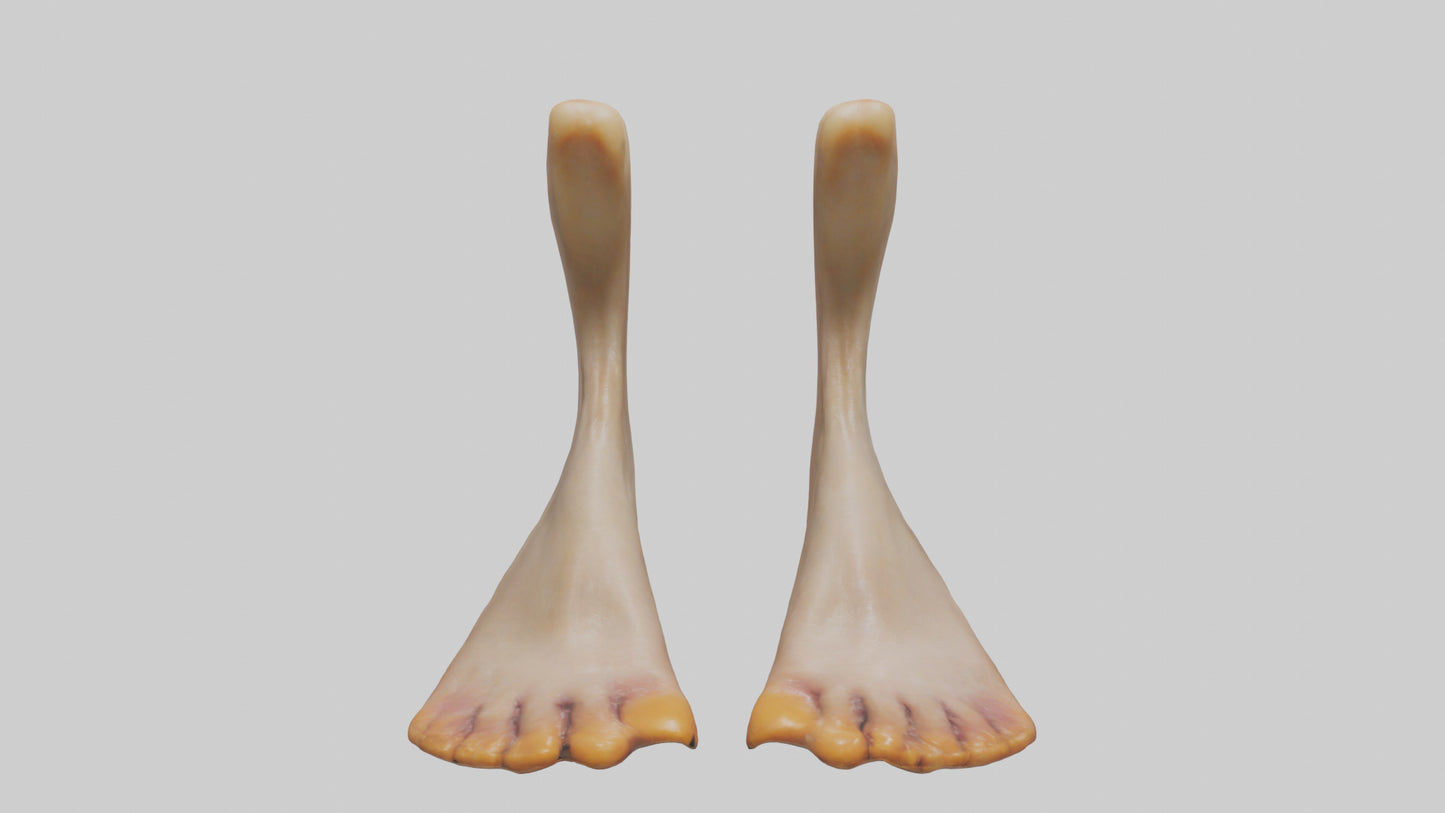 3D model Duck Feet VR / AR / low-poly