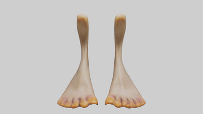3D model Duck Feet VR / AR / low-poly