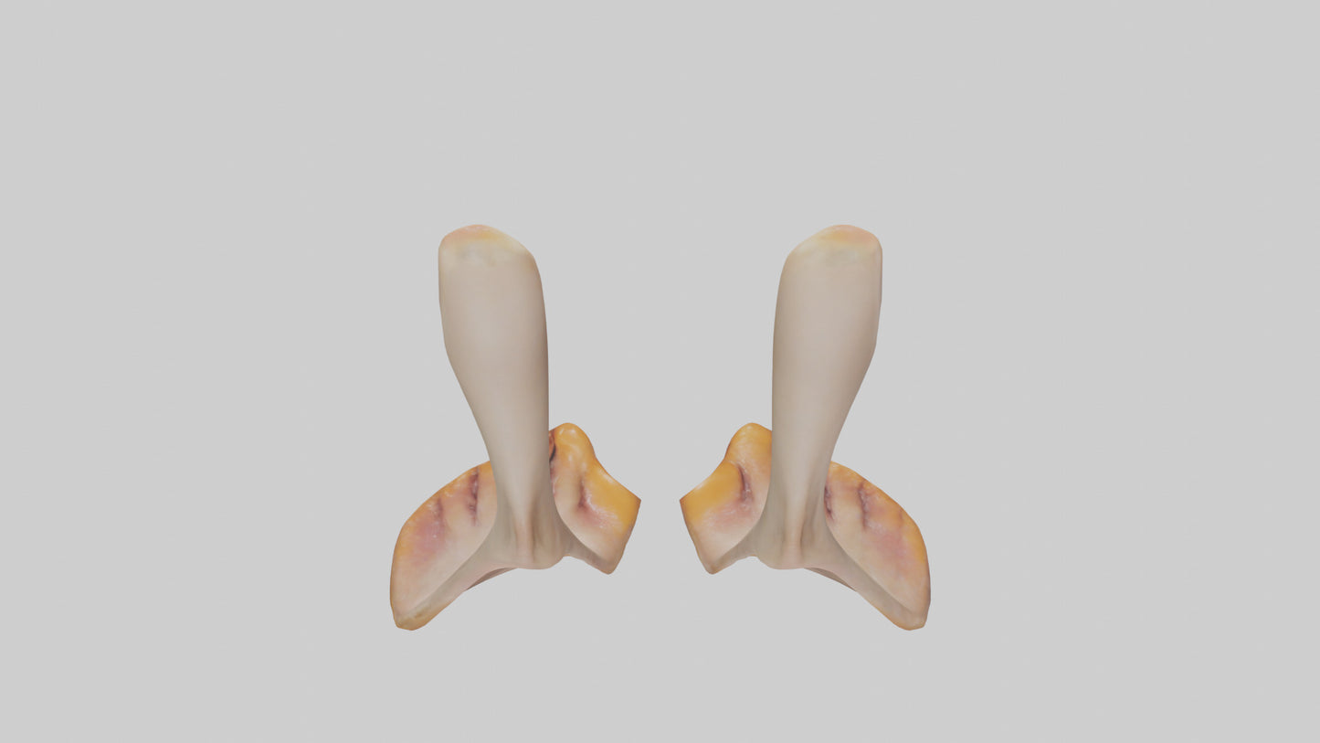 3D model Duck Feet VR / AR / low-poly