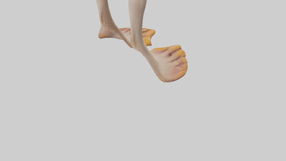 3D model Duck Feet VR / AR / low-poly