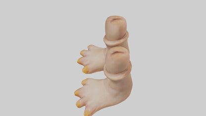 Duck Feet Model VR / AR / low-poly