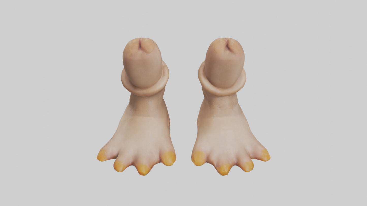 Duck Feet Model VR / AR / low-poly