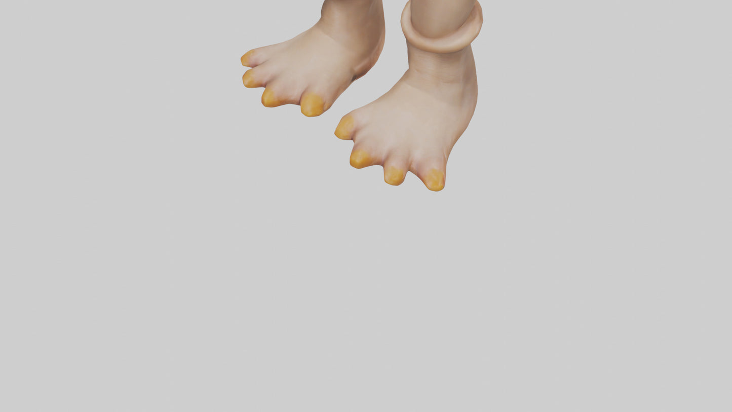 Duck Feet Model VR / AR / low-poly