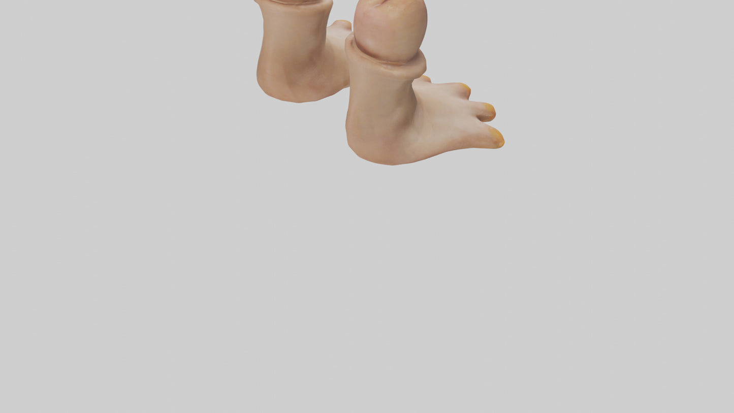 Duck Feet Model VR / AR / low-poly