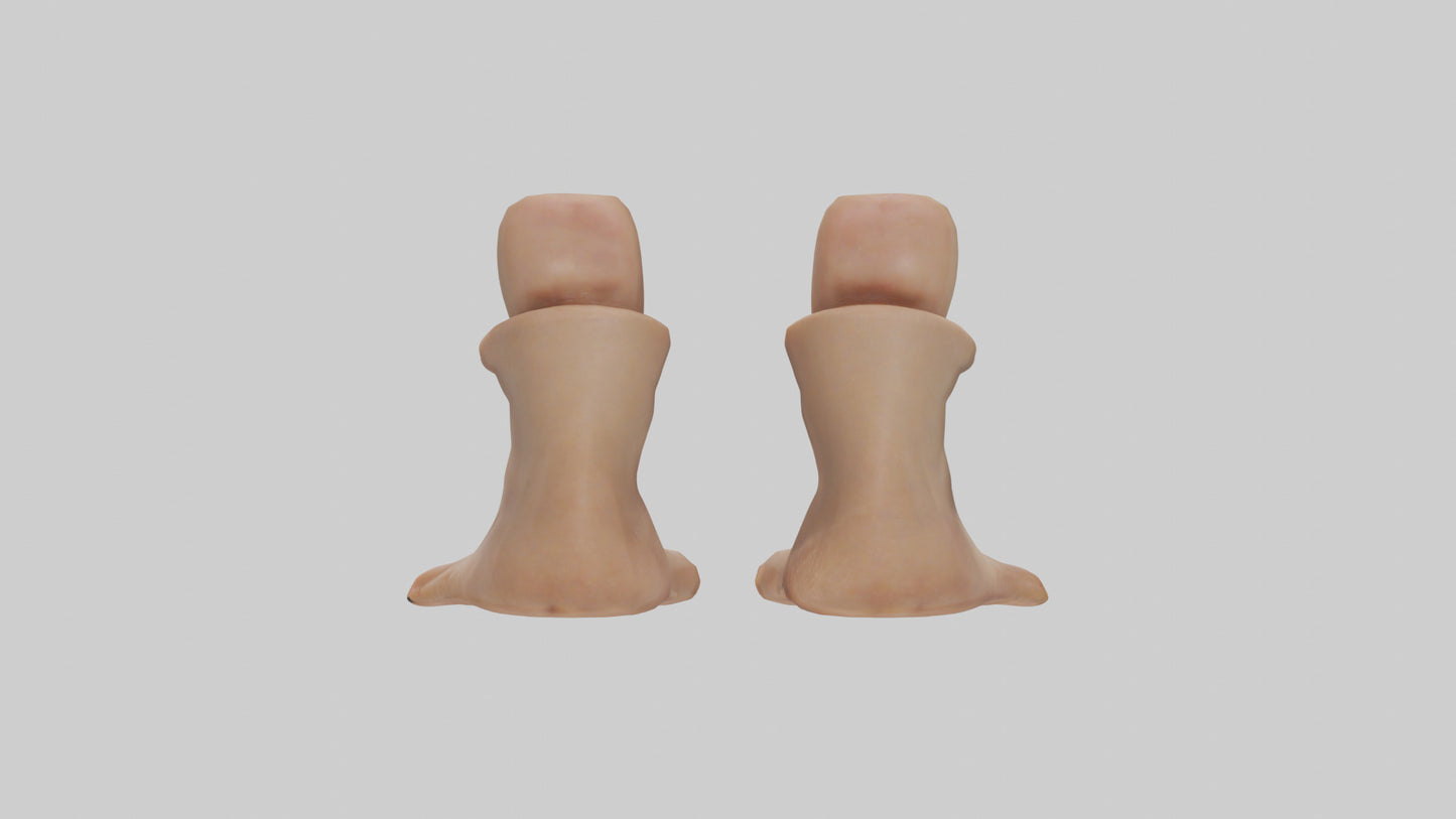 Duck Feet Model VR / AR / low-poly