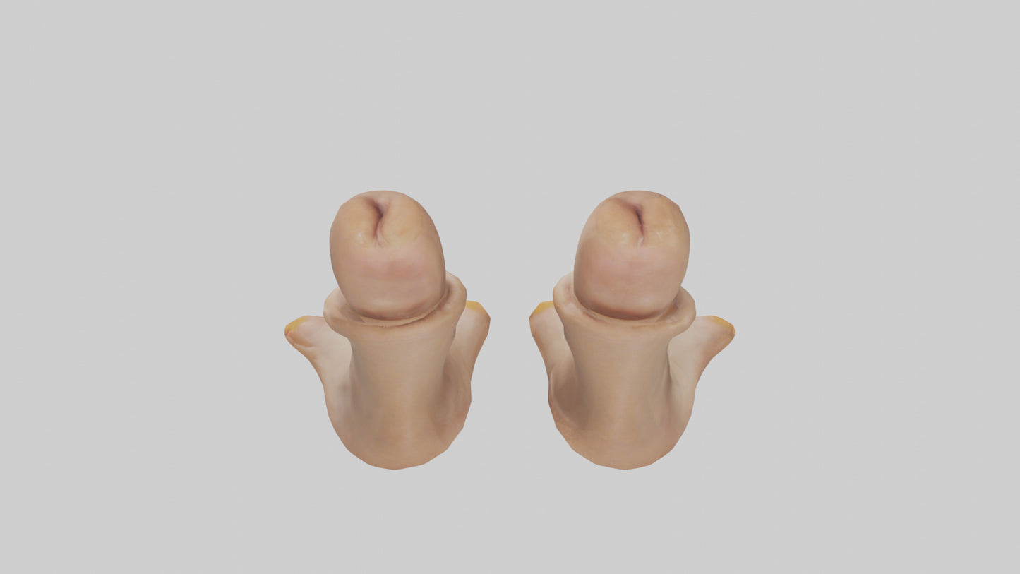 Duck Feet Model VR / AR / low-poly