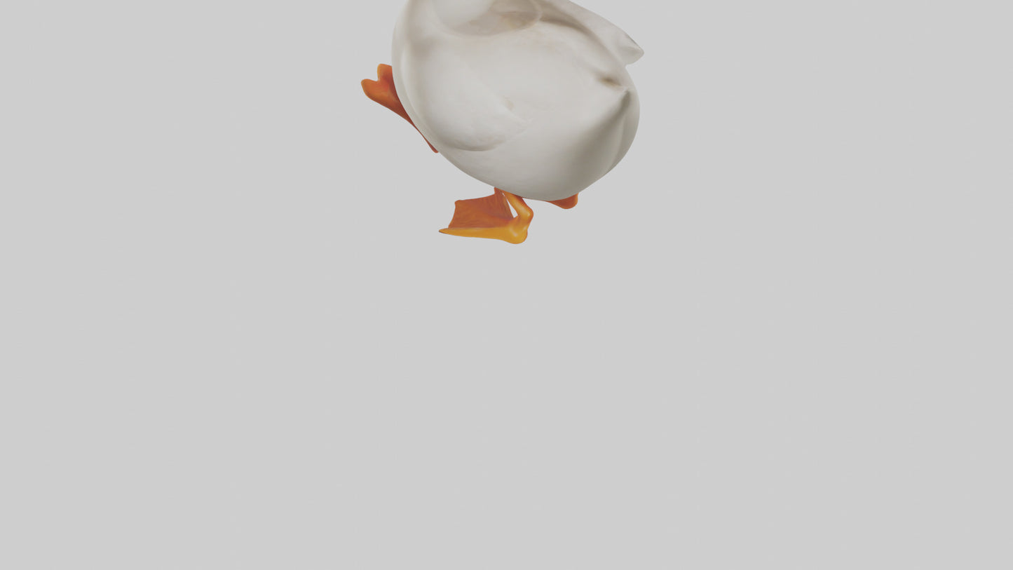 Duck waddling model 3D model