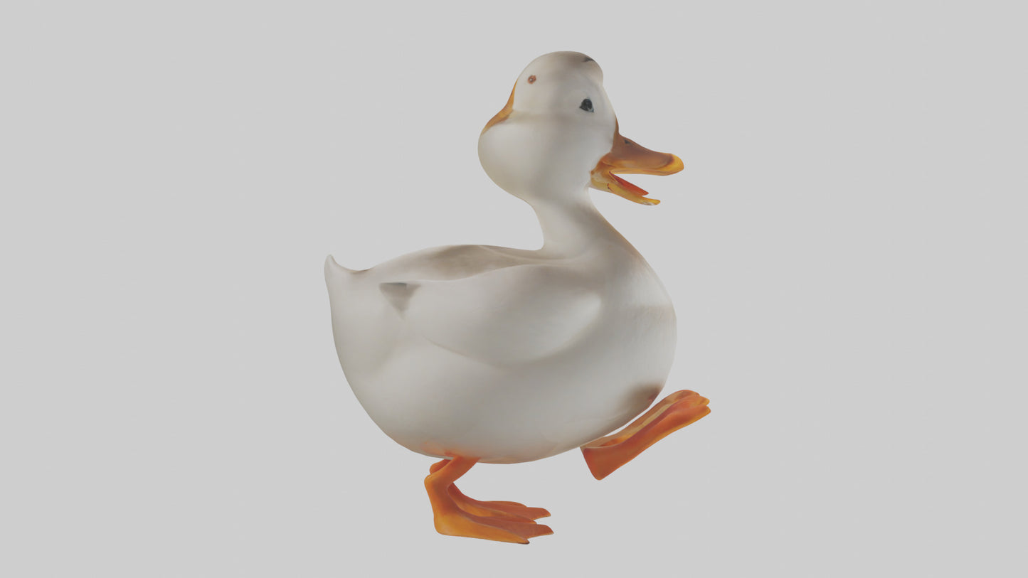 Duck waddling model 3D model