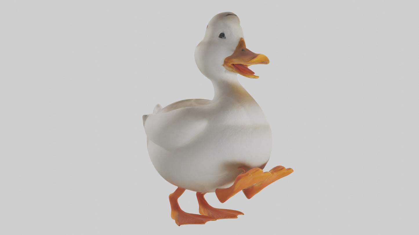 Duck waddling model 3D model