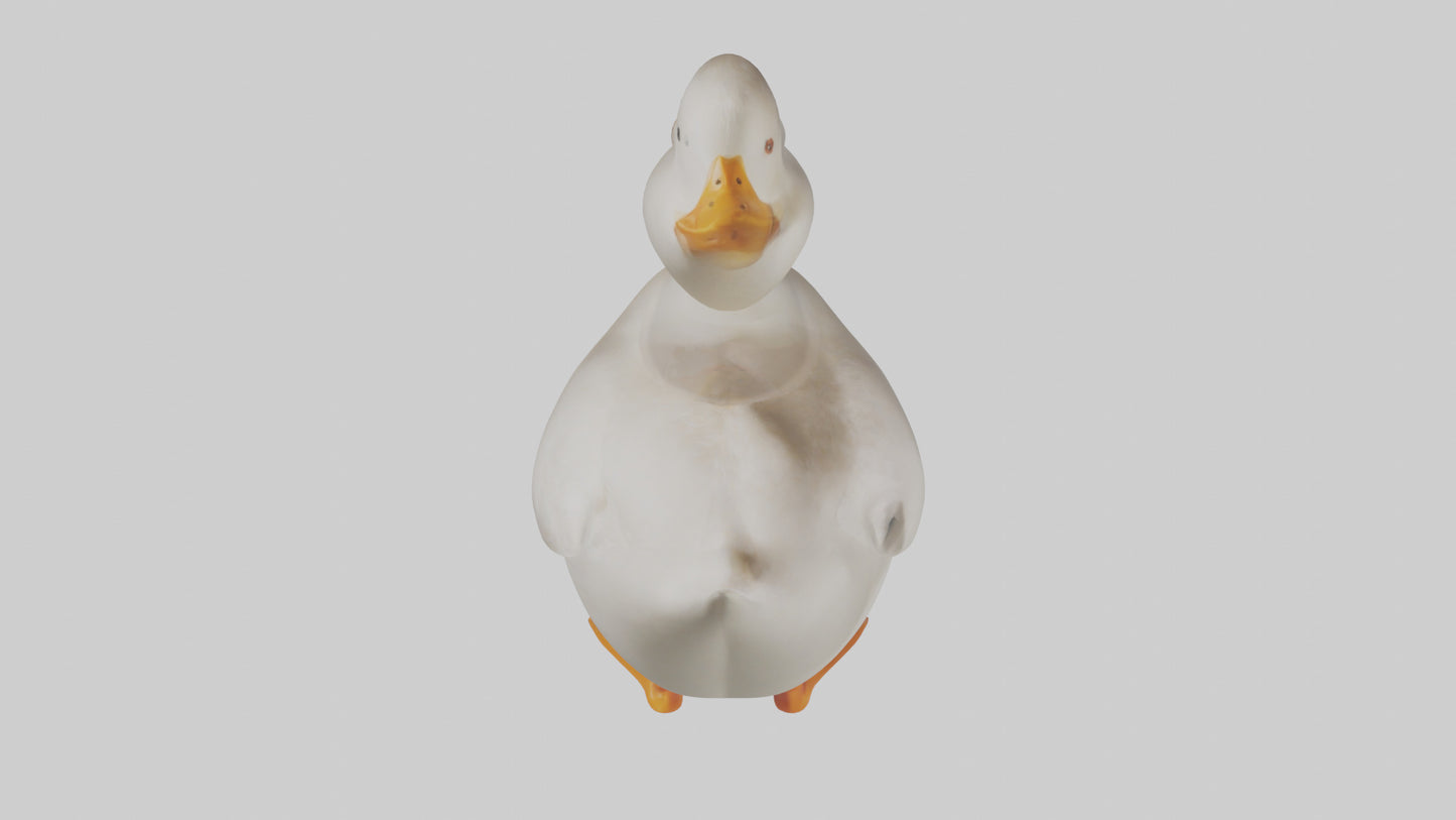 Duck waddling model 3D model