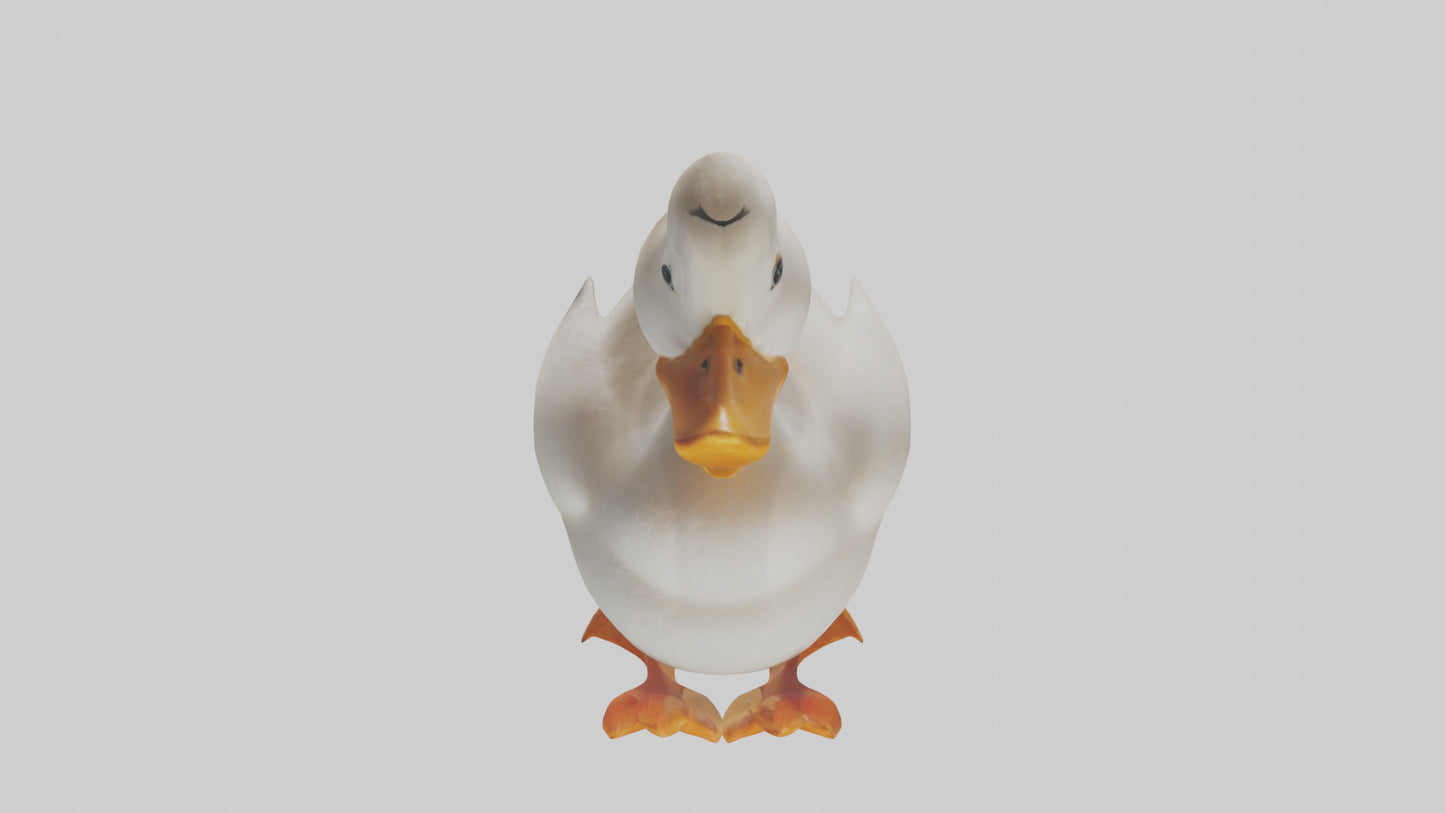 Duck waddling model 3D model