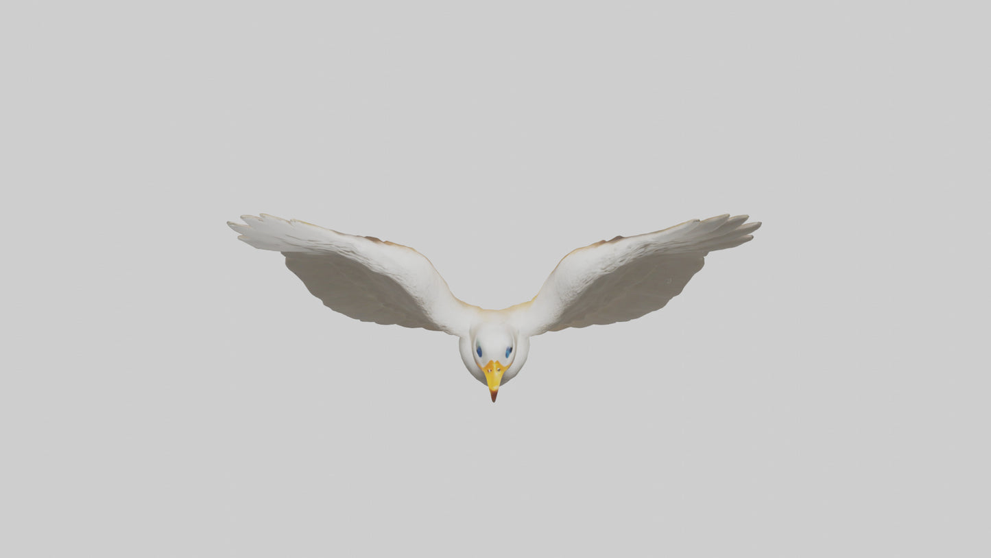 Duck Wings Model 3D model