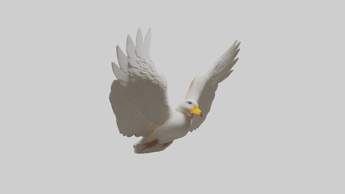 Duck Wings Model 3D model