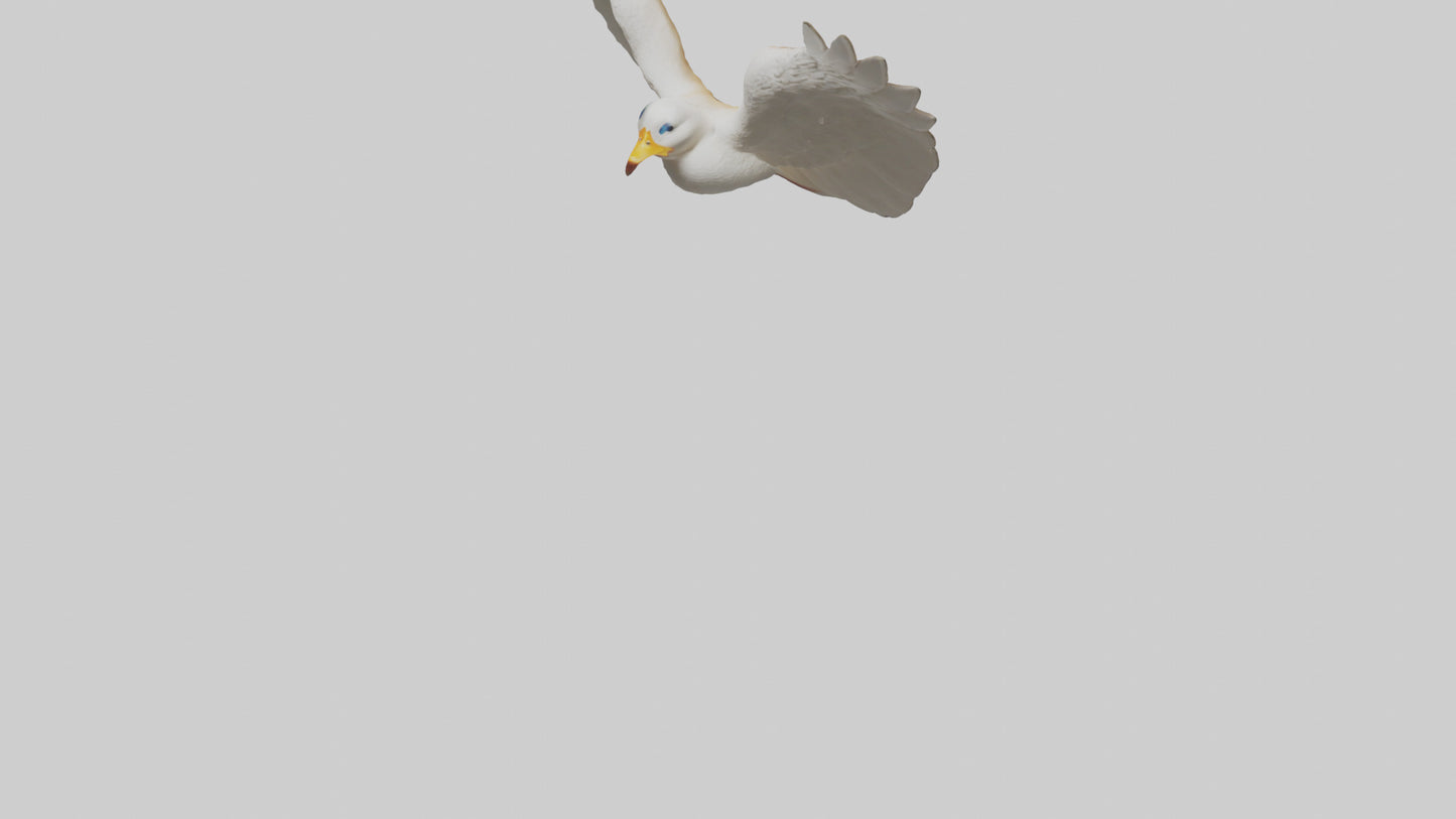 Duck Wings Model 3D model