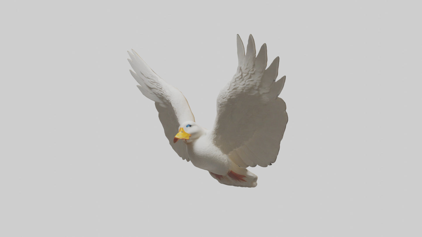 Duck Wings Model 3D model