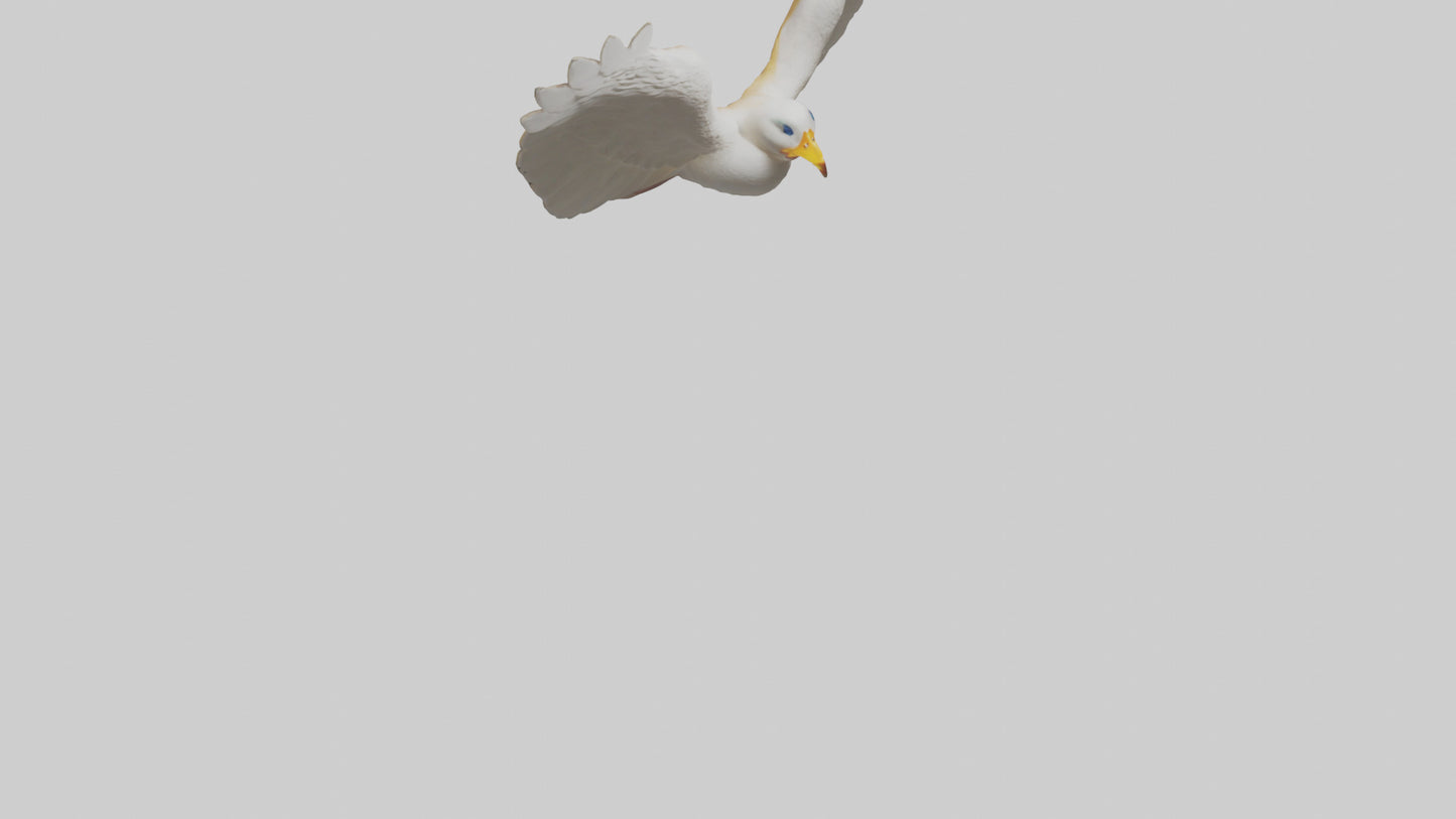 Duck Wings Model 3D model