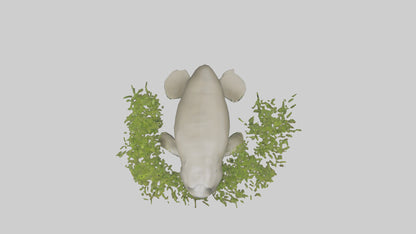 Dugong grazing seagrass model 3D model