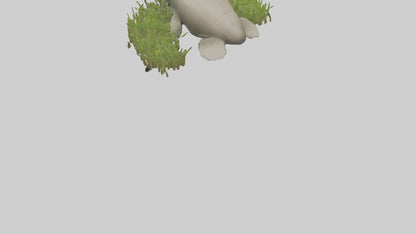 Dugong grazing seagrass model 3D model
