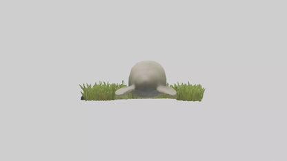 Dugong grazing seagrass model 3D model