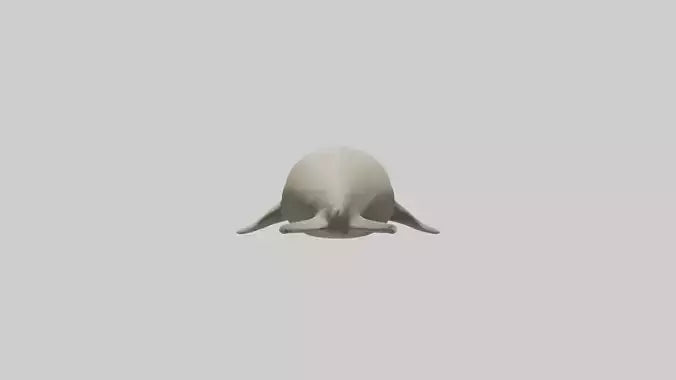 Dugong resting underwater model 3D model