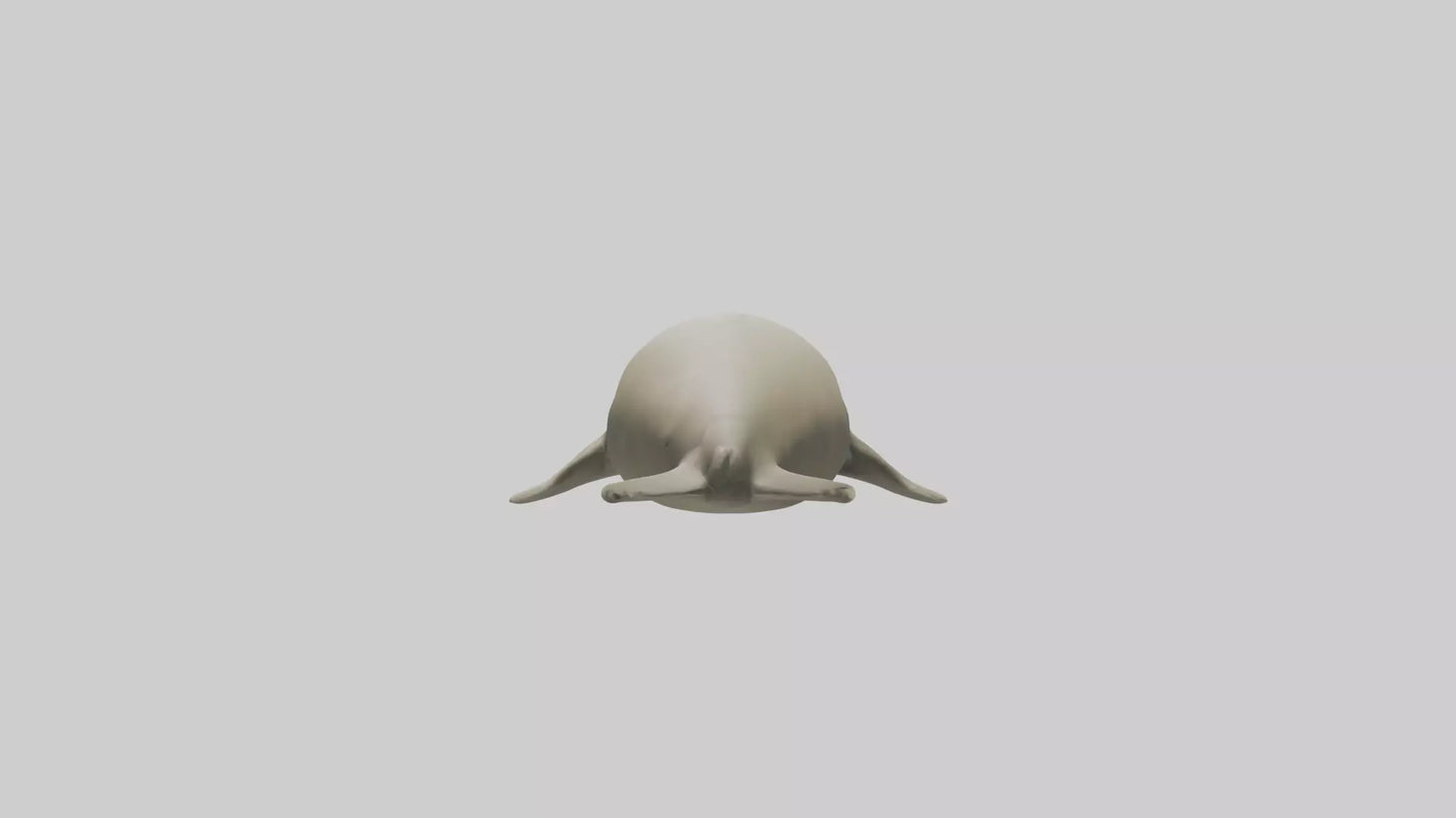 Dugong resting underwater model 3D model