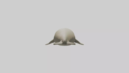 Dugong resting underwater model 3D model