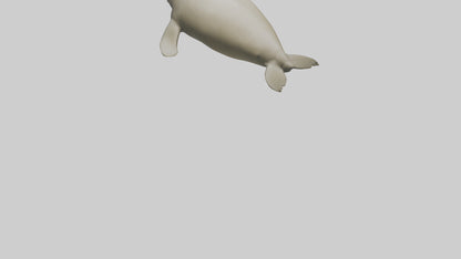 Dugong resting underwater model 3D model