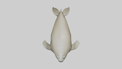 Dugong resting underwater model 3D model