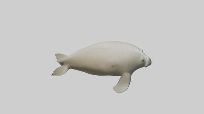Dugong resting underwater model 3D model