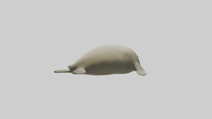 Dugong resting underwater model 3D model