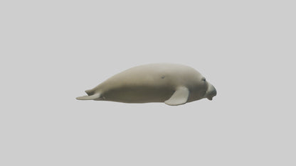 Dugong resting underwater model 3D model