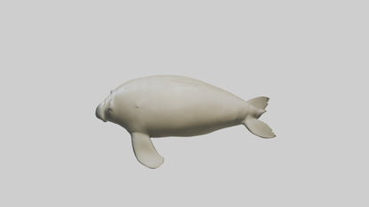 Dugong resting underwater model 3D model