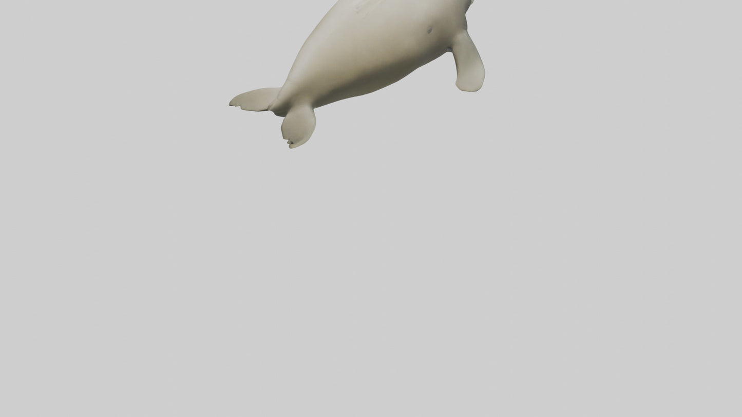 Dugong resting underwater model 3D model