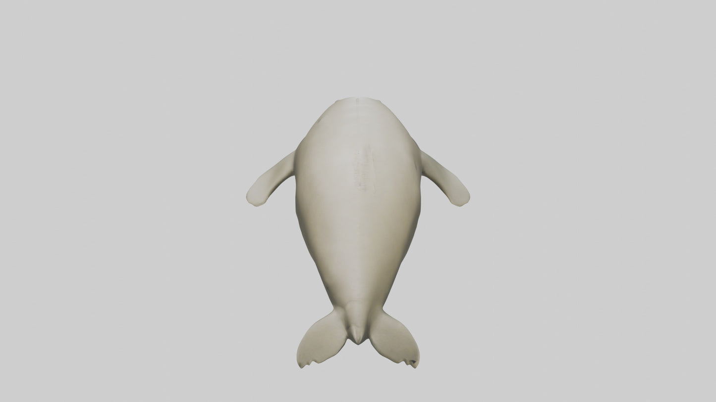Dugong resting underwater model 3D model