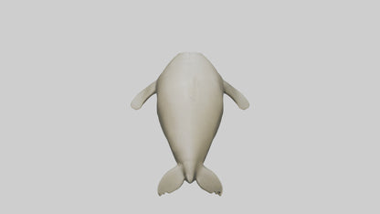 Dugong resting underwater model 3D model