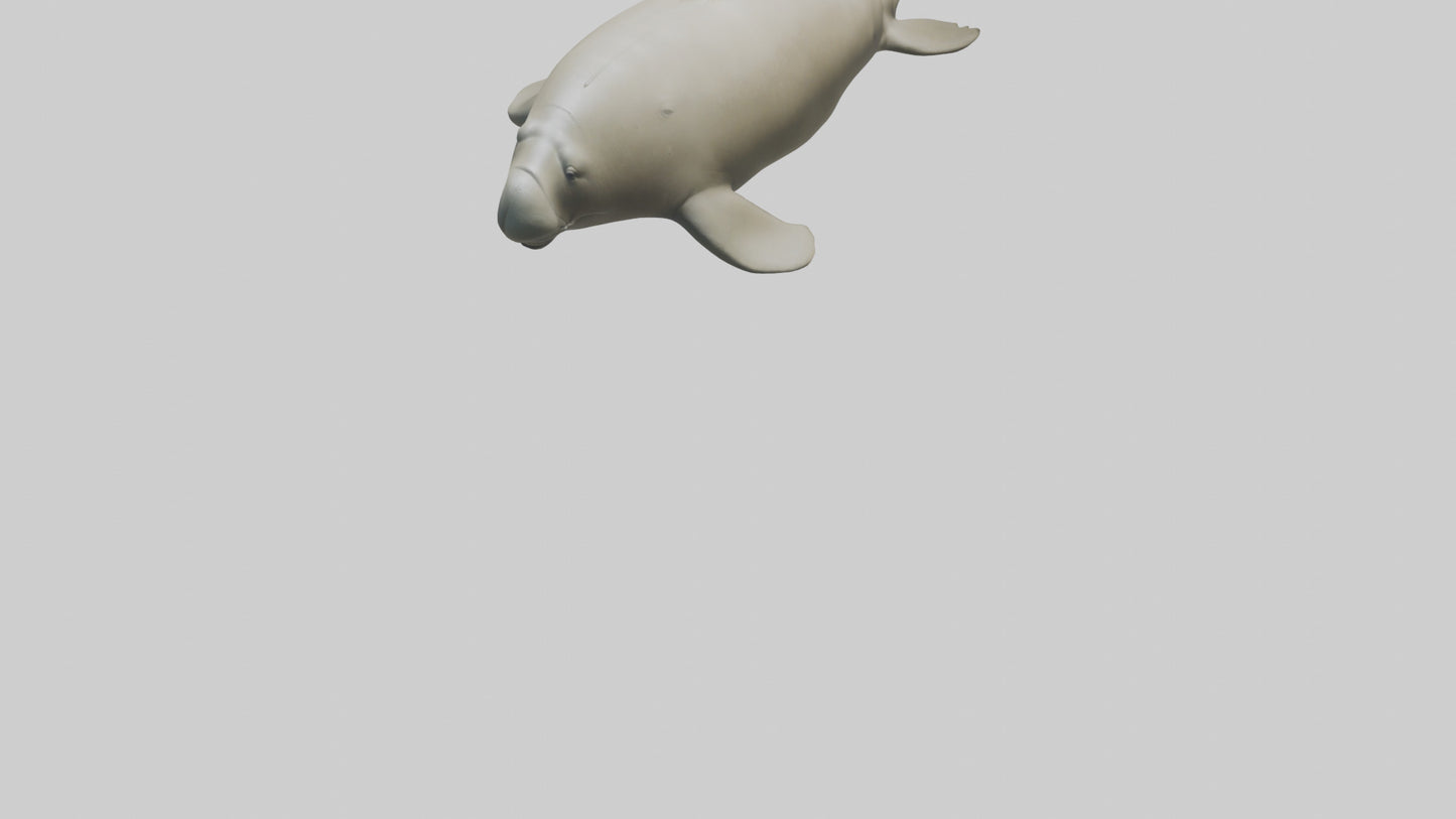 Dugong resting underwater model 3D model