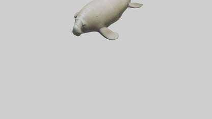 Dugong resting underwater model 3D model