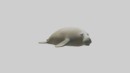 Dugong resting underwater model 3D model