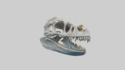 Dunkleosteus Skull Skeleton model 3D model