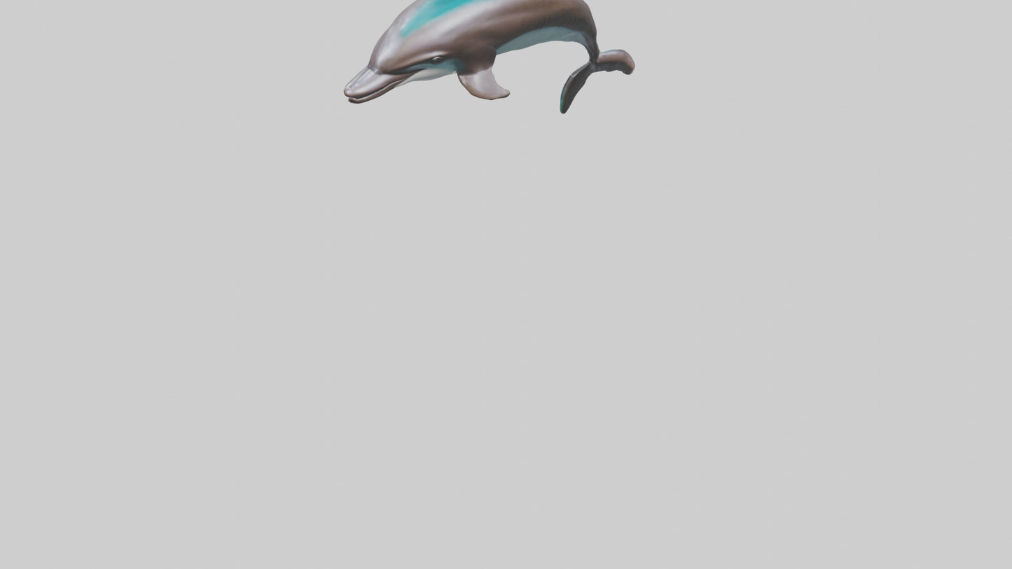 Dusky Dolphin statue model VR / AR / low-poly