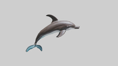 Dusky Dolphin statue model VR / AR / low-poly
