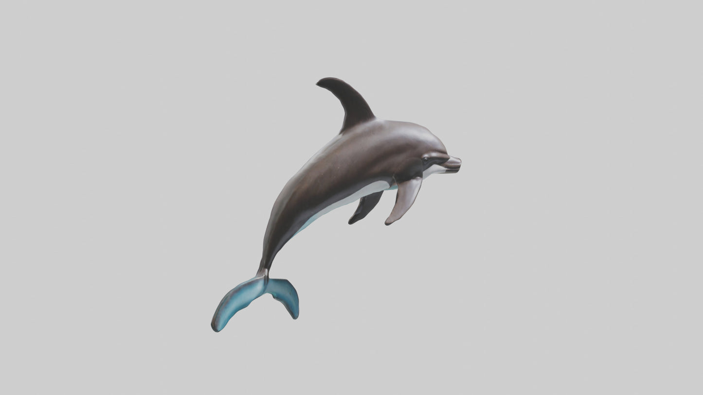 Dusky Dolphin statue model VR / AR / low-poly