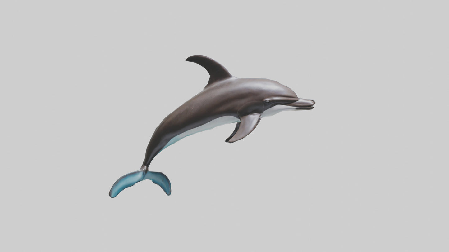 Dusky Dolphin statue model VR / AR / low-poly