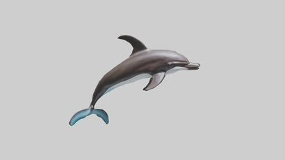 Dusky Dolphin statue model VR / AR / low-poly