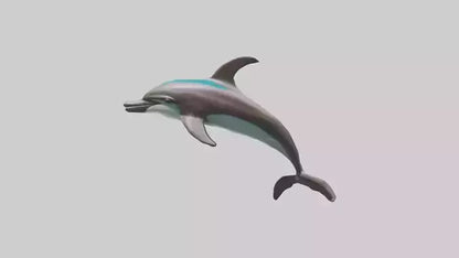 Dusky Dolphin statue model VR / AR / low-poly