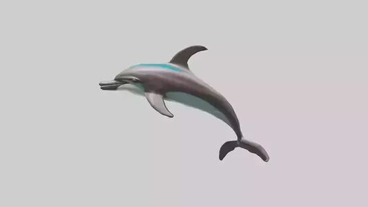 Dusky Dolphin statue model VR / AR / low-poly