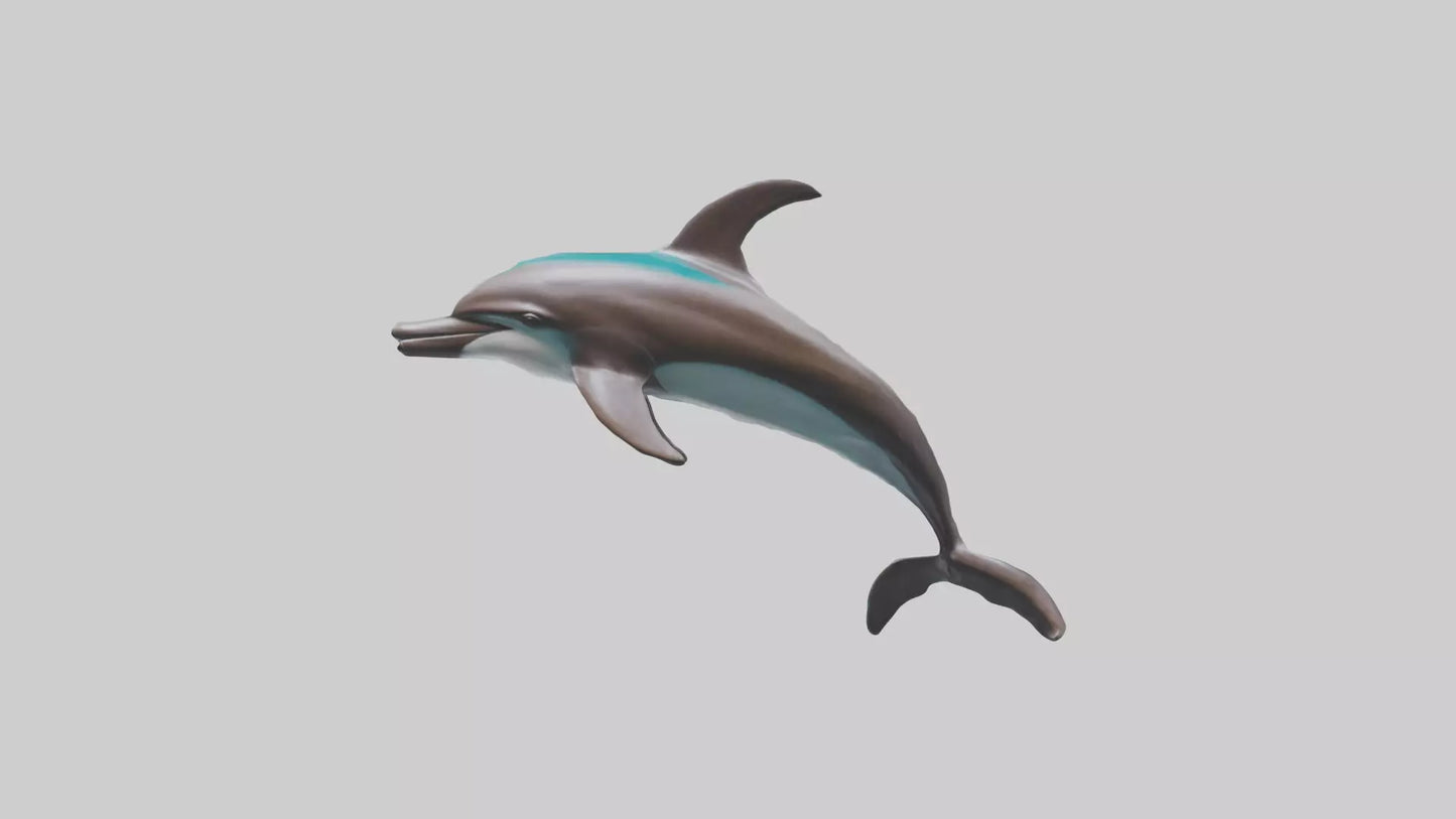 Dusky Dolphin statue model VR / AR / low-poly