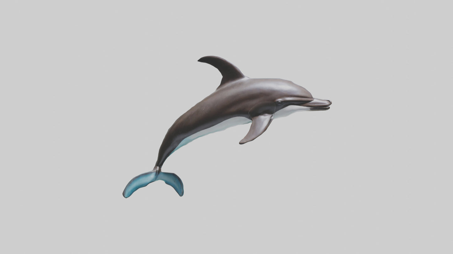Dusky Dolphin statue model VR / AR / low-poly