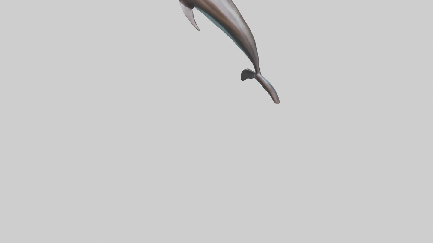 Dusky Dolphin statue model VR / AR / low-poly